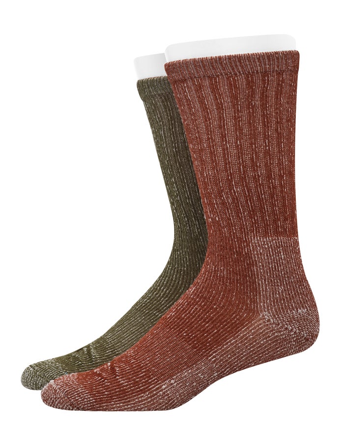 Champion Sokken Heren - Bruin/Olijfgroen - Outdoor Midweight Crew With Wool 2-Pairs ( 781453-MRL )